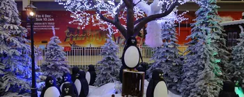 Winter wonderland props for Vibration Group