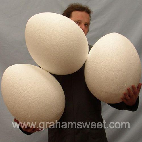 Polystyrene Eggs