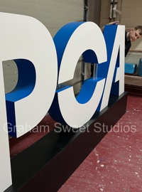 Wooden PCA 3D letters