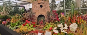 Old Mill model created for Team Grenada at Chelsea Flower Show