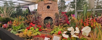 Large bespoke logos for Women’s Rugby Global Summit