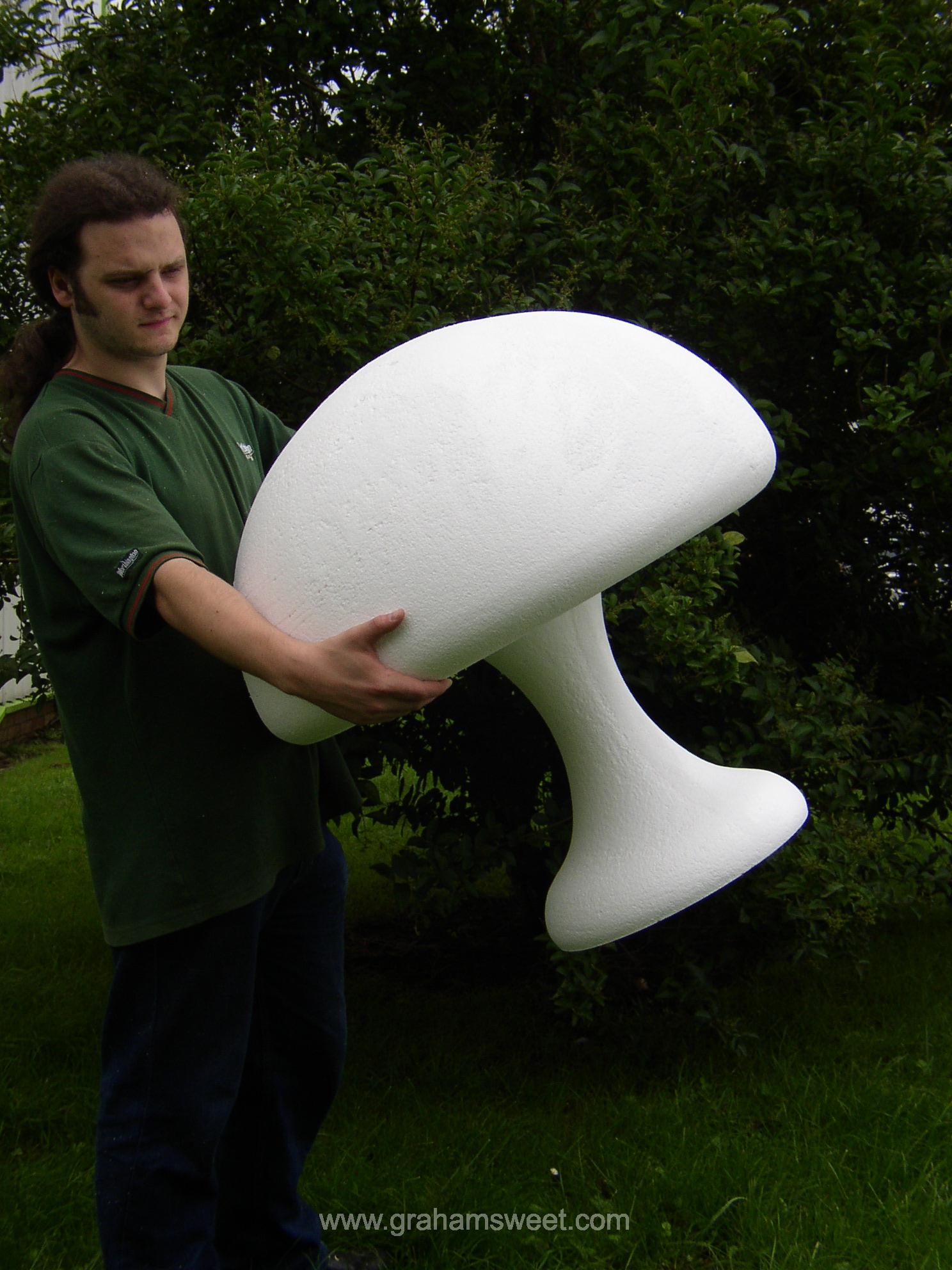 polystyrene Toadstool