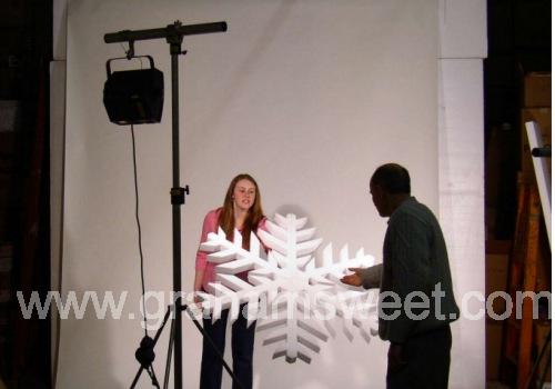 plain white polystyrene snowflake