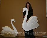 polystyrene swans