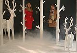 IMG 8670