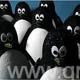 pengiuns1