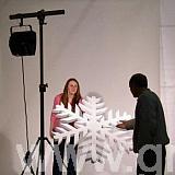 plain white polystyrene snowflake