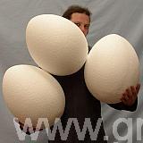 450 mm polystyrene eggs