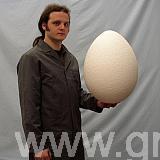 450 mm polystyrene eggs