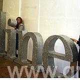 poly letters - line - covered in silver glitter