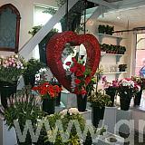 flower-shop-vm-display-side