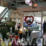 flower-shop-vm-display