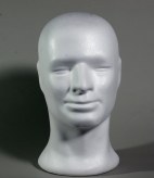 male polystyrene head