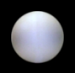 500 mm polystyrene ball / sphere