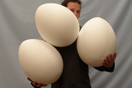 polystyrene eggs