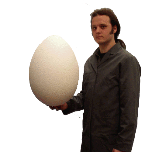 450 mm polystyrene egg